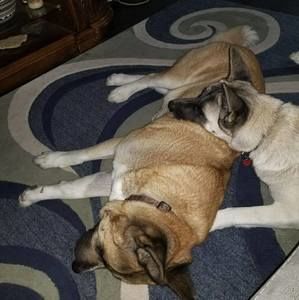 Meet your Posher, Danika